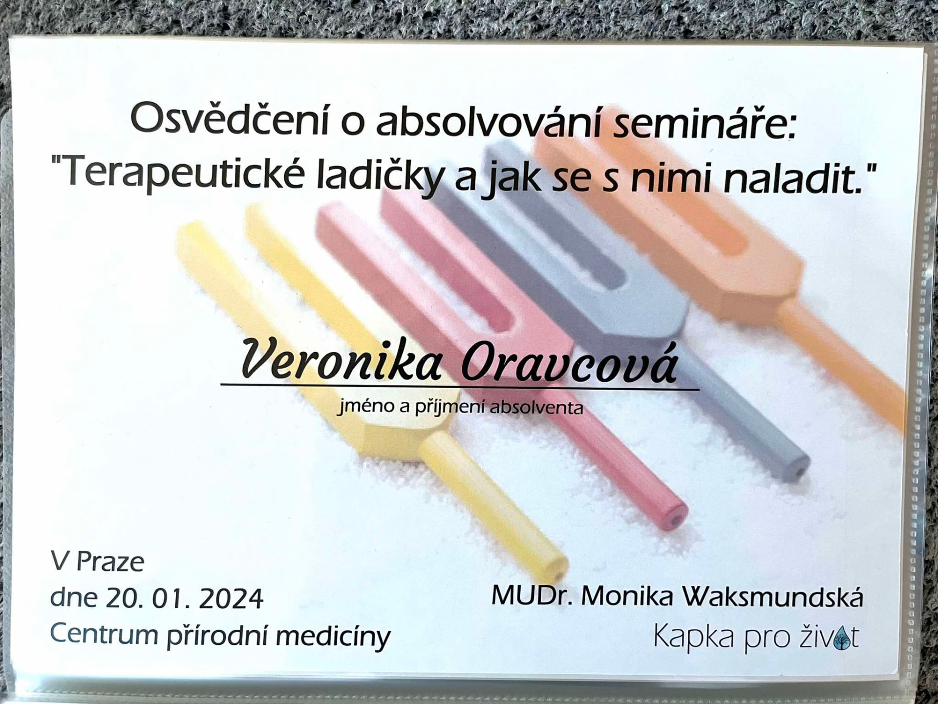 Terapeutické ladičky a jak se s nimi naladit - Kapka pro život, 2024