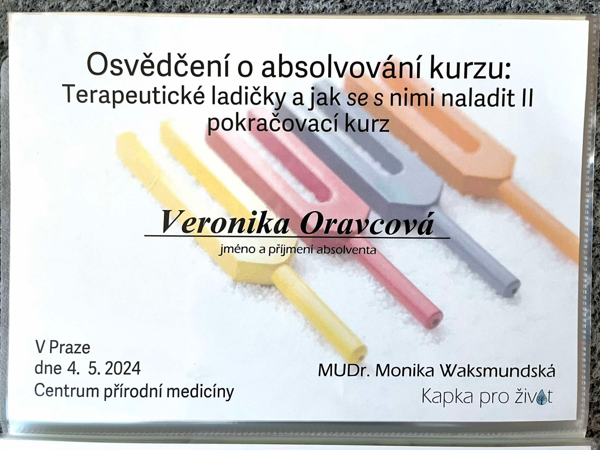 Terapeutické ladičky II. - pokračovací kurz, Kapka pro život, 2024